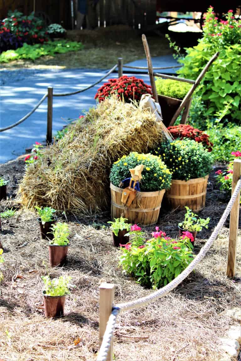 5 Reasons You Need To Visit Noccalula Falls, Alabama