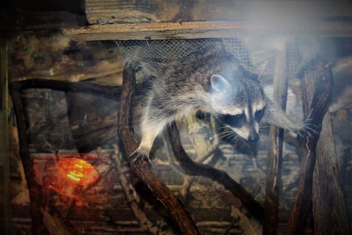 5 Reasons You Need To Visit Noccalula Falls, Alabama