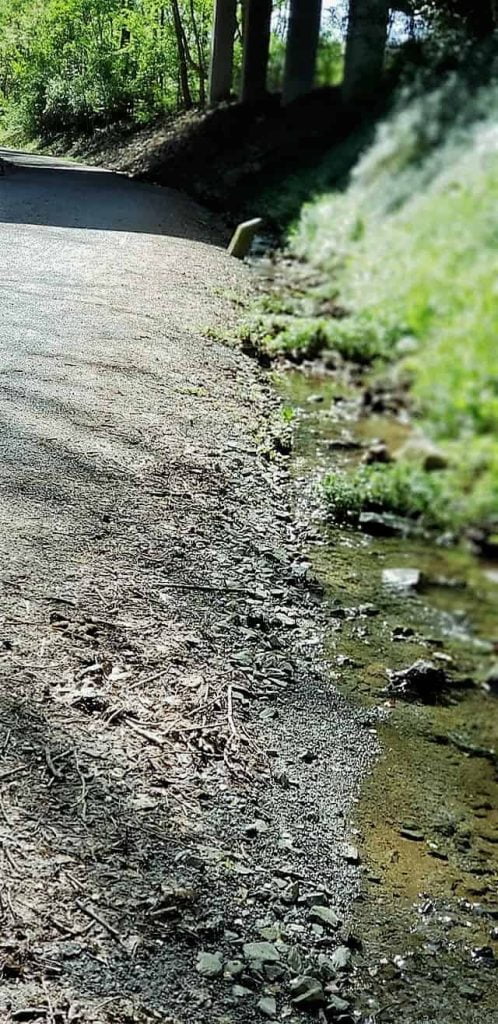 Tweetsie Trail