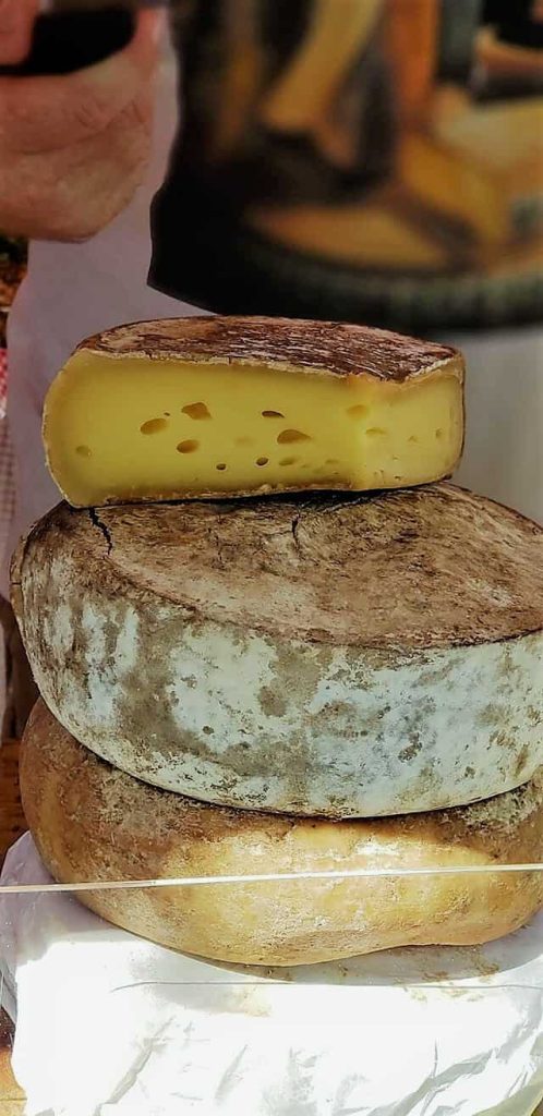 Fresh cheese selection at local market in Stuart FL.