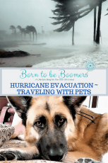 Hurricane Evacuation with pets