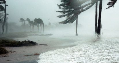 Hurricane Evacuation ~ Traveling with Pets