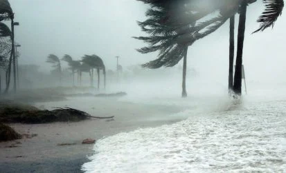 Hurricane Evacuation ~ Traveling with Pets