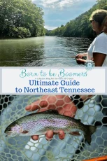 Fly fishing in Northeast Tennessee
