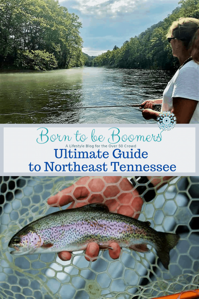 Fly fishing in Tennessee for Rainbow Trout