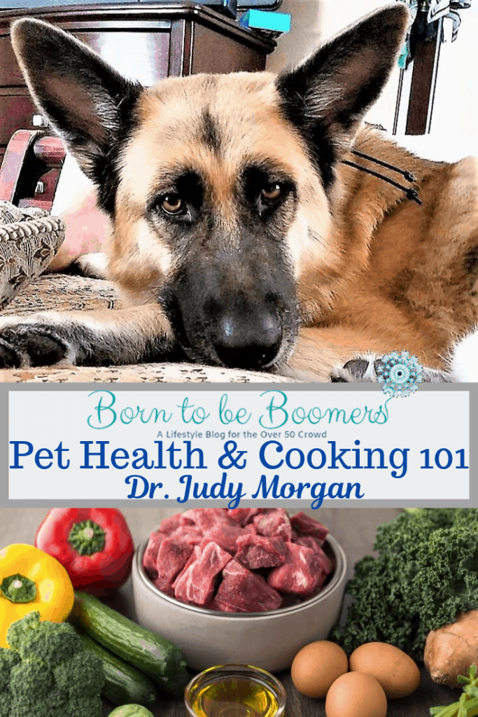 Pet Health and Cooking 101 diets for pets