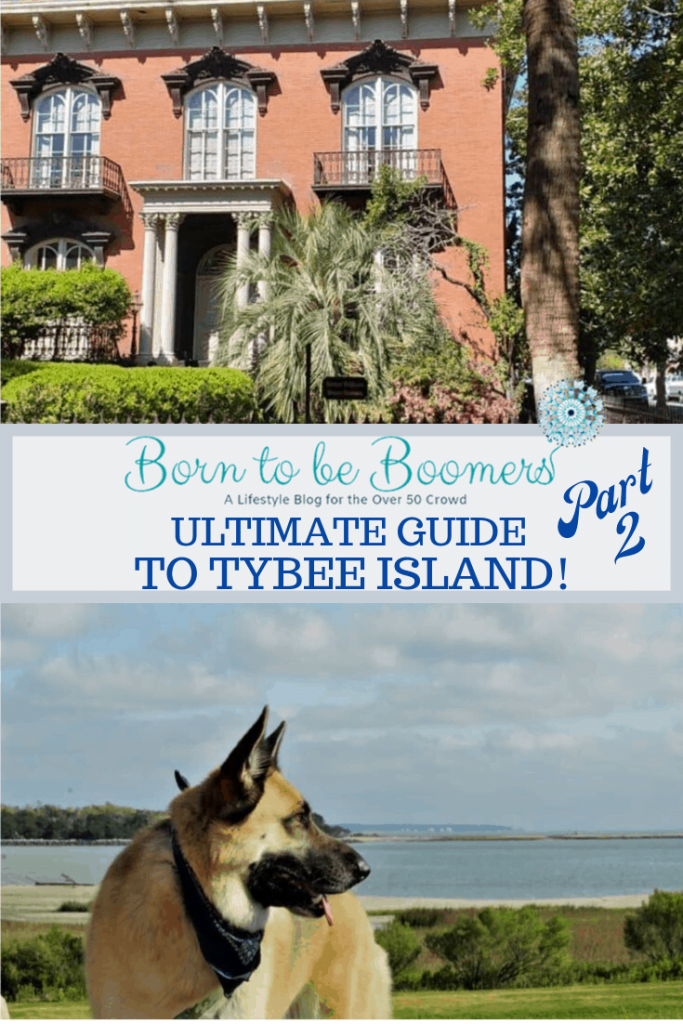 Ultimate Guide to Tybee Island Part 2