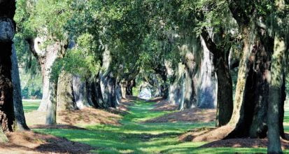 An Ultimate Guide to St. Simons Island, Georgia