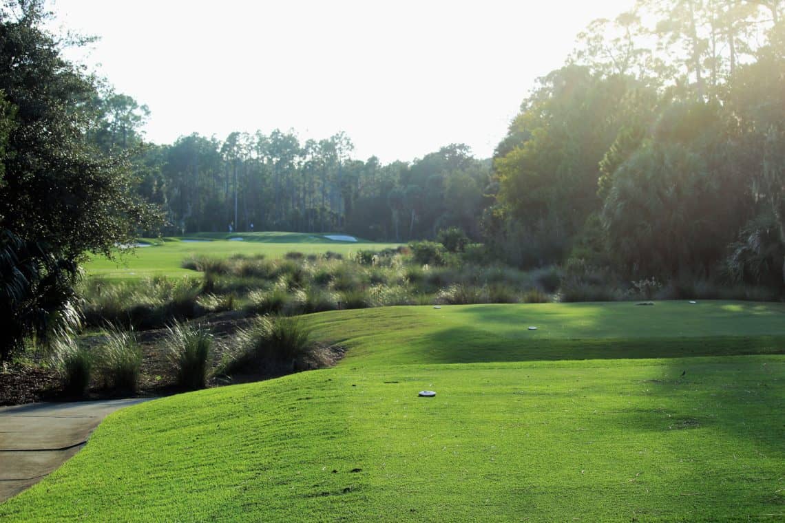 Discover Hammock Dunes Club