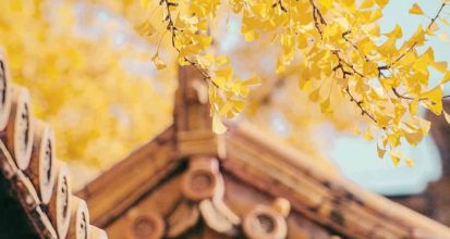 Top 8 UNESCO World Heritage Cities to Add to Your Bucket List