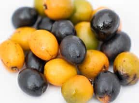 Flomentum Saw Palmetto Prostate Gland Enlargement