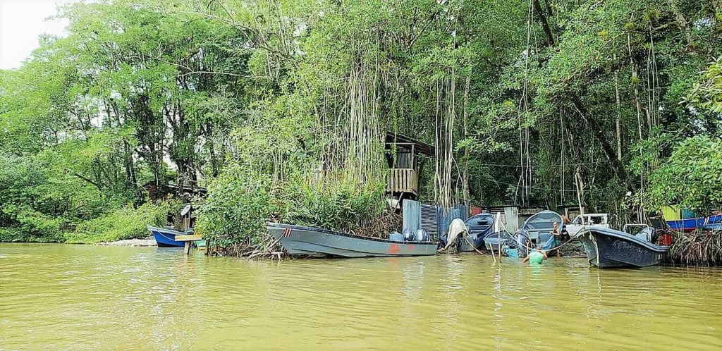 Tortuguero Canal National Park