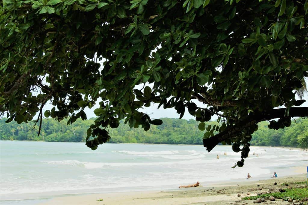 Cahuita National Park Beaches