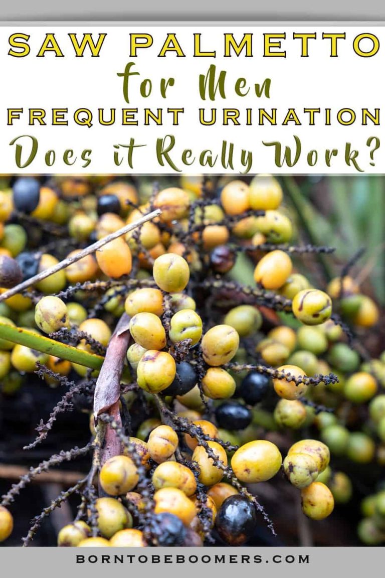 Does Saw Palmetto Really Work For Frequent Urination? Here Is What We Found!