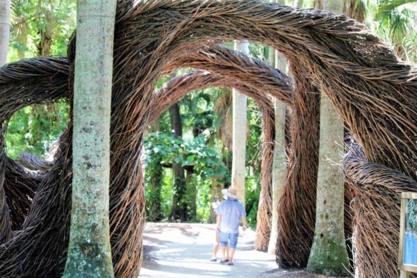 Discover McKee Botanical Gardens in Vero Beach, Florida