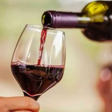 Chronicle Wines
