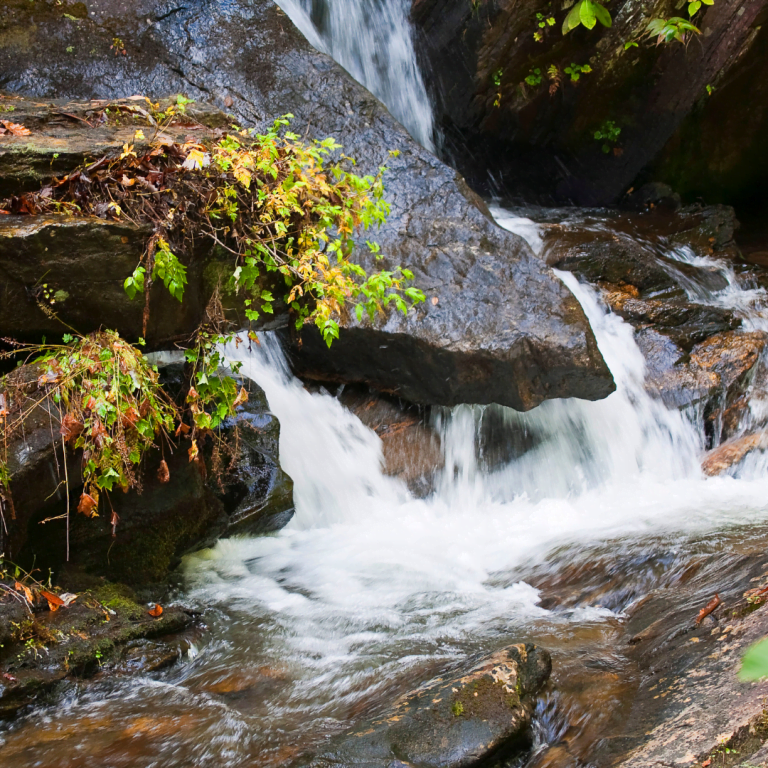 An Ultimate Guide to Helen Georgia: Top Activities and Restaurants