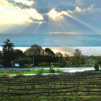Seneca Lake Wine Country: Exploring the Best 20 Wineries!