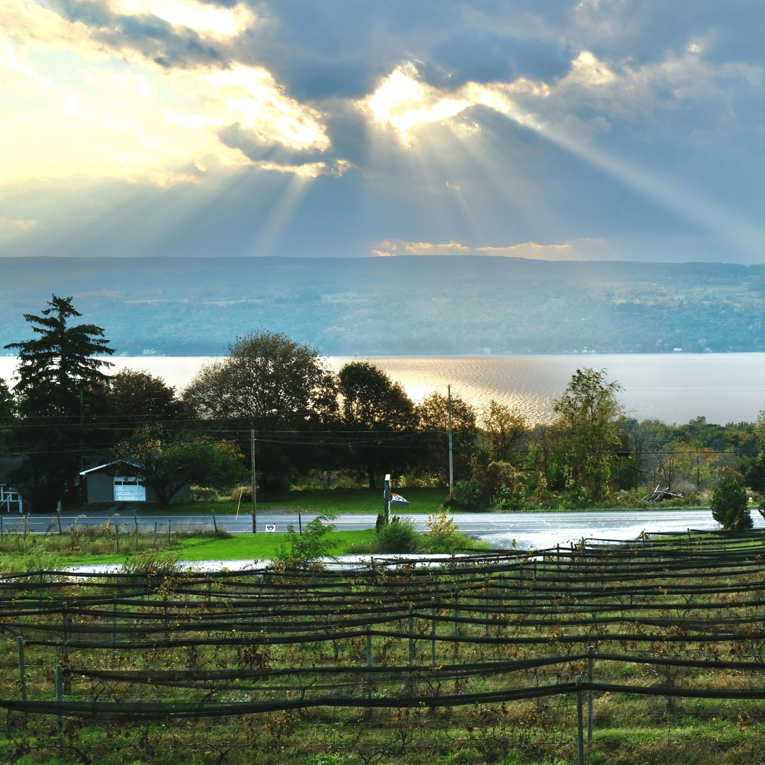 Seneca Lake Wine Country